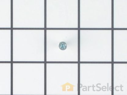 Screw - Flat Head 134156200
